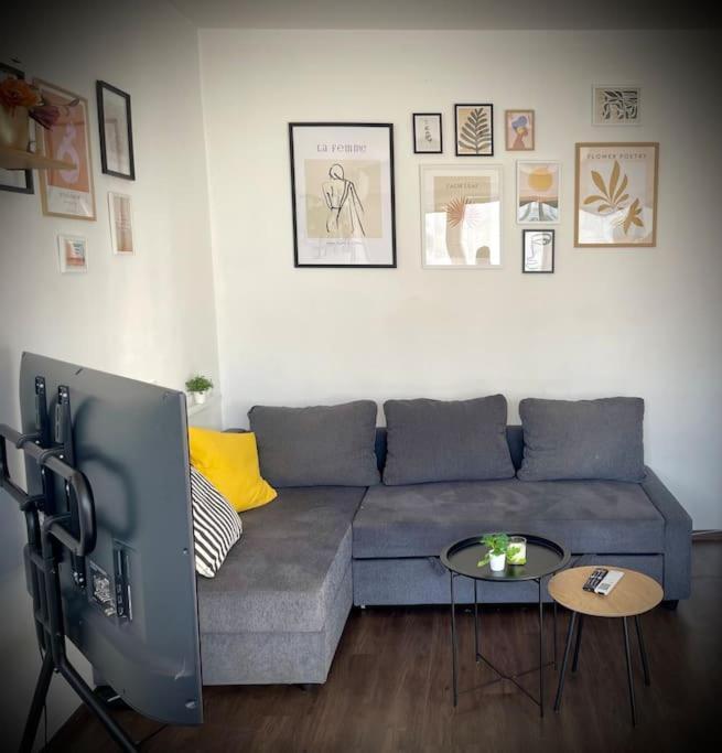 Cozy Free Parking Wi-fi Netflix Apartment