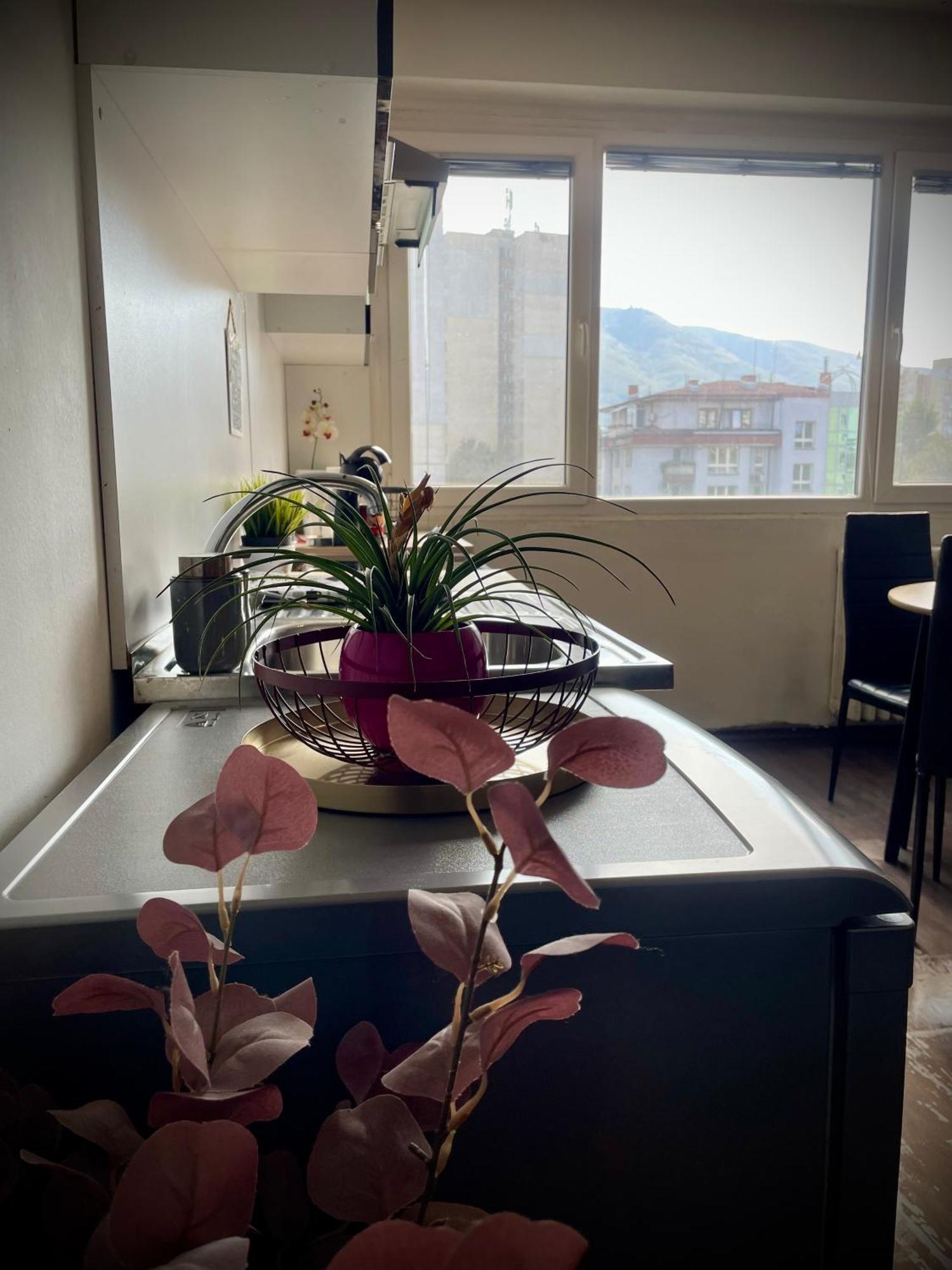 Cozy Free Parking Wi-fi Netflix Apartment